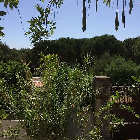 Maison D'Elie Saint-Tropez Ngoại thất bức ảnh