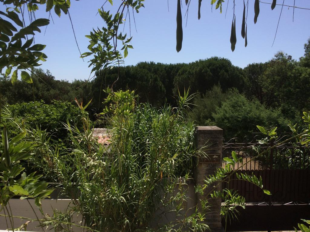 Maison D'Elie Saint-Tropez Ngoại thất bức ảnh
